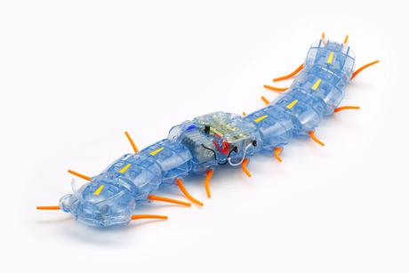 Centipede Robot none