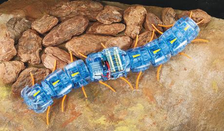 Centipede Robot none