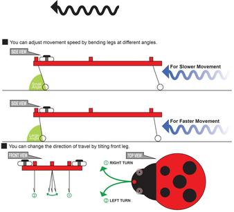 Sliding Ladybug Vibrating Action