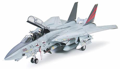 F-14A Tomcat Black Knights none