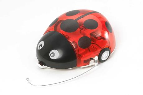 Wall Hugging Ladybug none